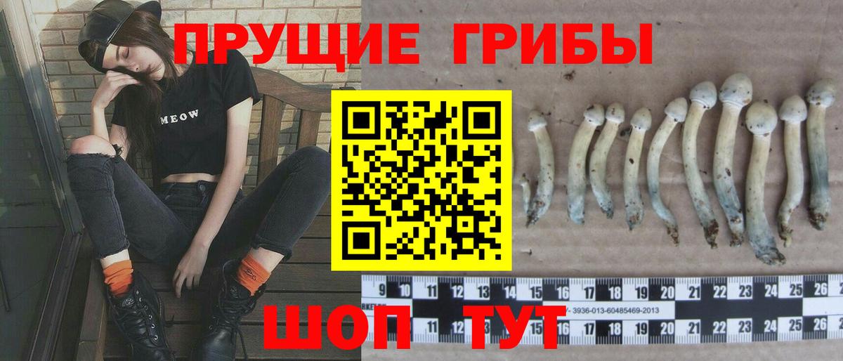 Псилоцибиновые грибы прущие грибы  Вход с VPN  Туапсе 